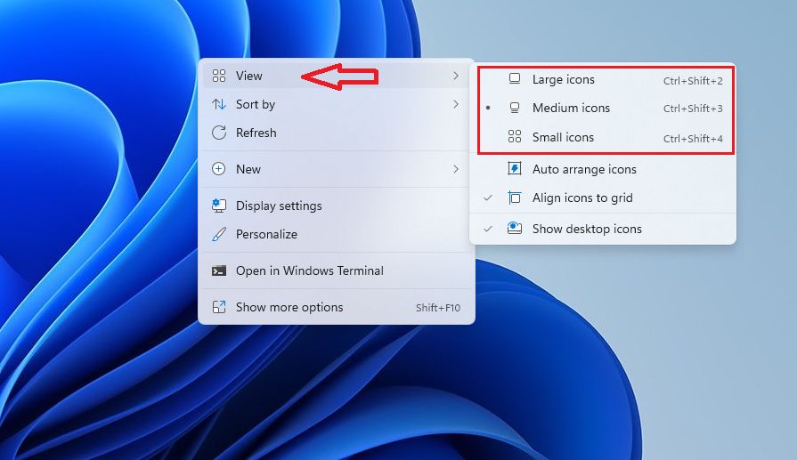 How to Resize Windows 11 Icons - This post shows students and new users ...